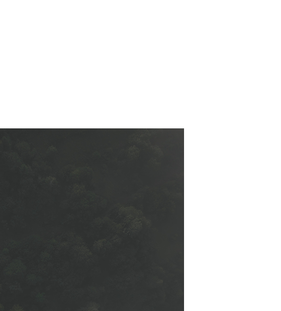 bg2